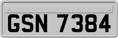 GSN7384