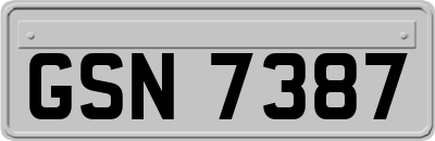 GSN7387