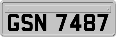 GSN7487