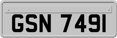 GSN7491