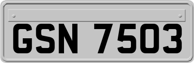 GSN7503