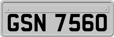 GSN7560
