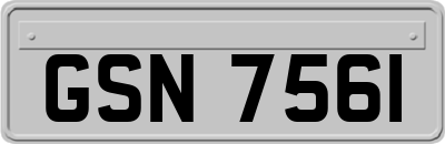GSN7561