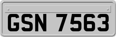 GSN7563