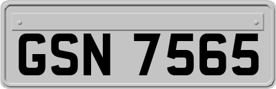 GSN7565