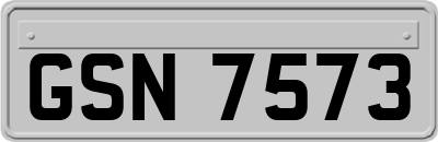 GSN7573