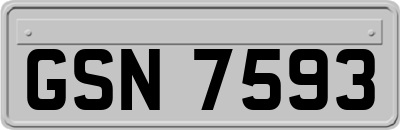 GSN7593