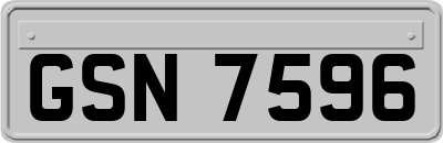 GSN7596