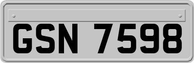 GSN7598