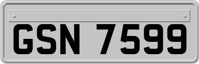 GSN7599