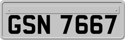 GSN7667