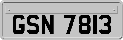 GSN7813
