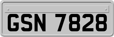 GSN7828