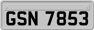 GSN7853