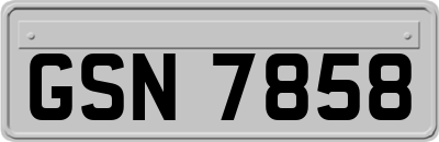 GSN7858