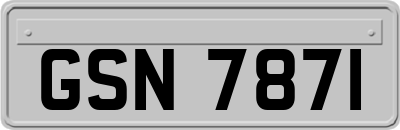 GSN7871