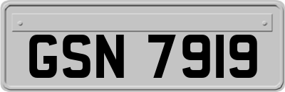 GSN7919