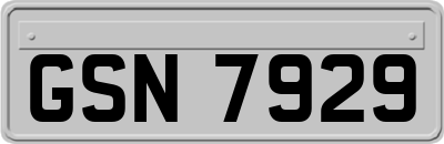 GSN7929
