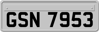 GSN7953