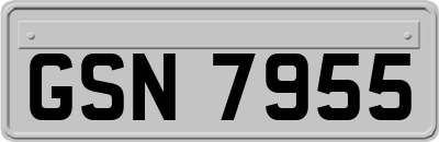 GSN7955