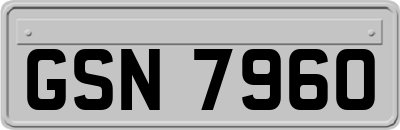 GSN7960