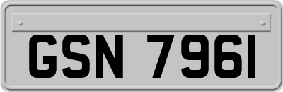 GSN7961