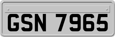GSN7965