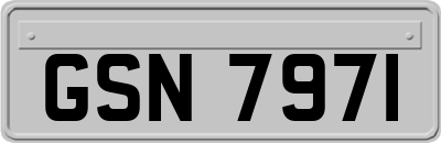 GSN7971