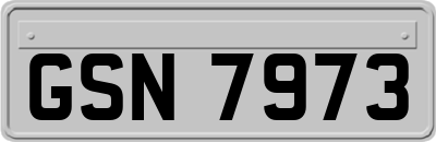 GSN7973