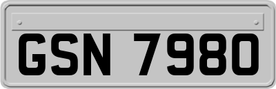 GSN7980
