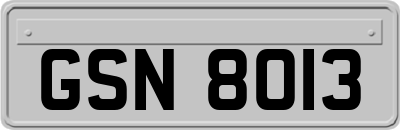 GSN8013
