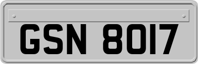 GSN8017