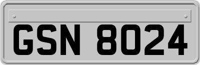 GSN8024