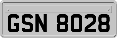 GSN8028