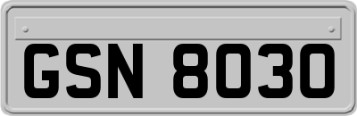 GSN8030