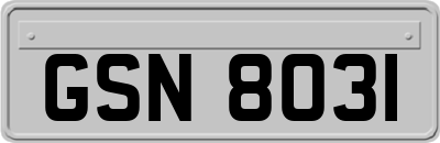 GSN8031