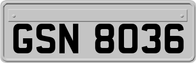 GSN8036