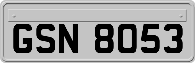 GSN8053