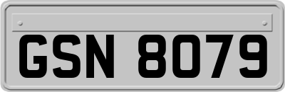 GSN8079
