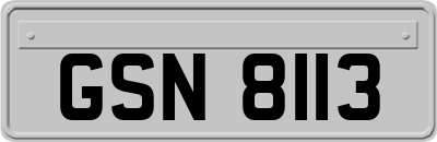 GSN8113