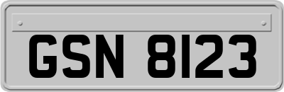GSN8123