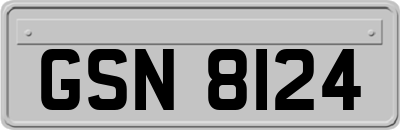 GSN8124