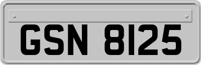GSN8125