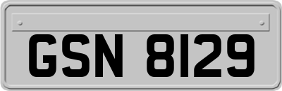 GSN8129