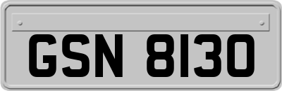 GSN8130