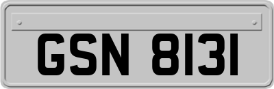 GSN8131