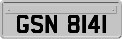 GSN8141