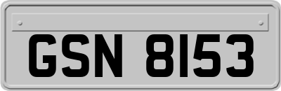 GSN8153