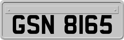 GSN8165