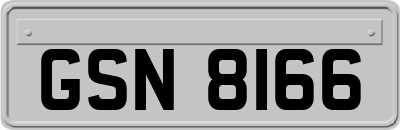 GSN8166